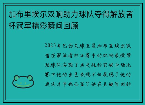 加布里埃尔双响助力球队夺得解放者杯冠军精彩瞬间回顾