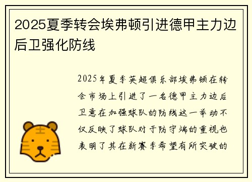 2025夏季转会埃弗顿引进德甲主力边后卫强化防线